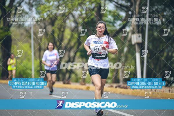 Circuito de Corridas Angeloni 2024 - Etapa Londrina 