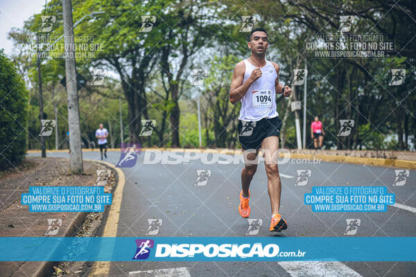 Circuito de Corridas Angeloni 2024 - Etapa Londrina 