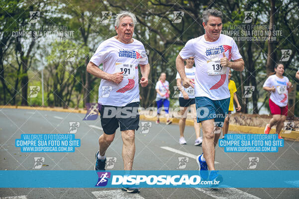 Circuito de Corridas Angeloni 2024 - Etapa Londrina 