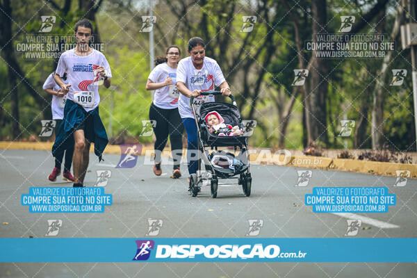 Circuito de Corridas Angeloni 2024 - Etapa Londrina 