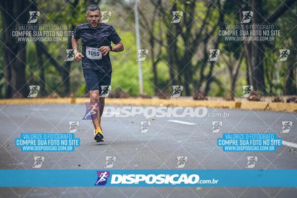 Circuito de Corridas Angeloni 2024 - Etapa Londrina 