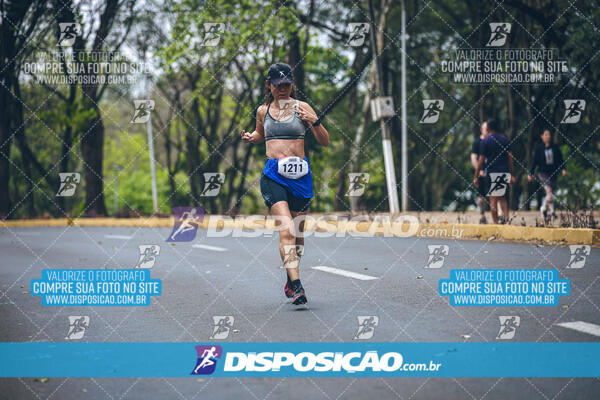 Circuito de Corridas Angeloni 2024 - Etapa Londrina 