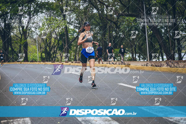 Circuito de Corridas Angeloni 2024 - Etapa Londrina 