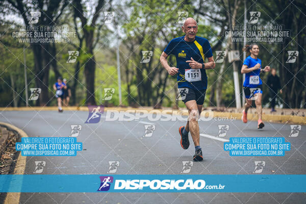 Circuito de Corridas Angeloni 2024 - Etapa Londrina 