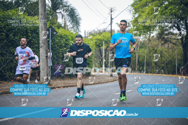 Circuito de Corridas Angeloni 2024 - Etapa Londrina 