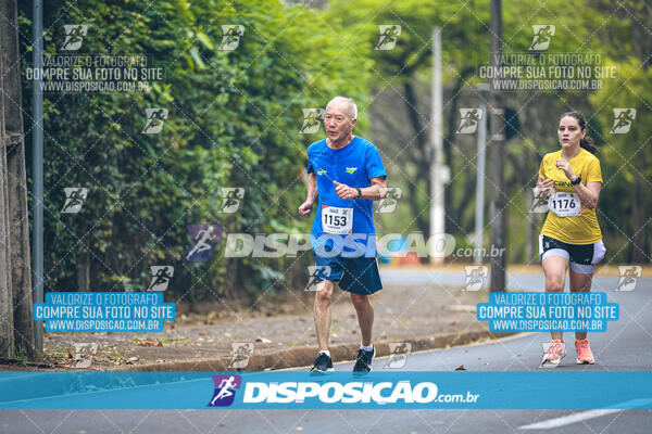 Circuito de Corridas Angeloni 2024 - Etapa Londrina 