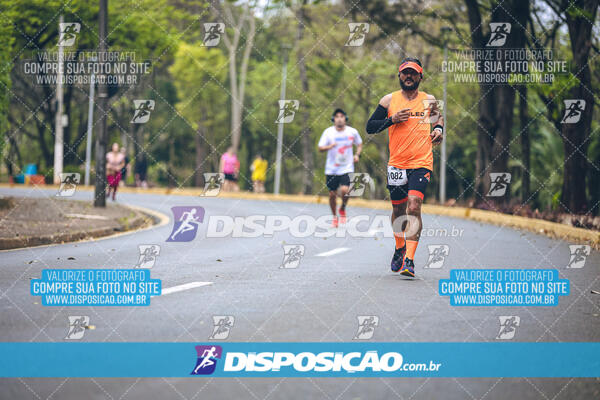 Circuito de Corridas Angeloni 2024 - Etapa Londrina 