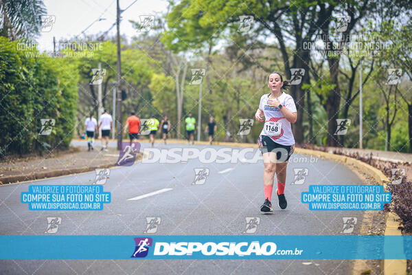 Circuito de Corridas Angeloni 2024 - Etapa Londrina 