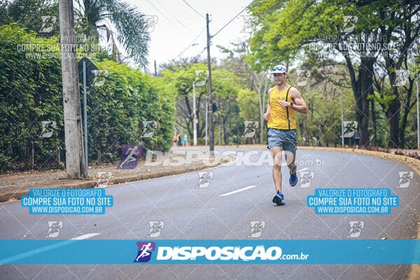 Circuito de Corridas Angeloni 2024 - Etapa Londrina 