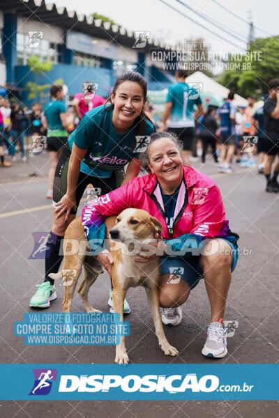 Circuito SESC de Corrida de Rua 2024 - Apucarana 