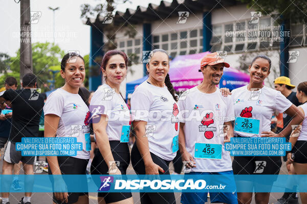 Circuito SESC de Corrida de Rua 2024 - Apucarana 