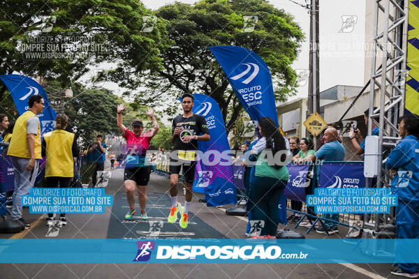 Circuito SESC de Corrida de Rua 2024 - Apucarana 