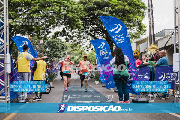 Circuito SESC de Corrida de Rua 2024 - Apucarana 