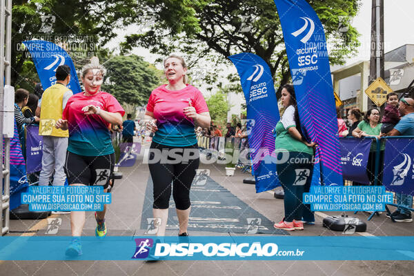 Circuito SESC de Corrida de Rua 2024 - Apucarana 