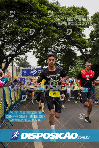 Circuito SESC de Corrida de Rua 2024 - Apucarana 