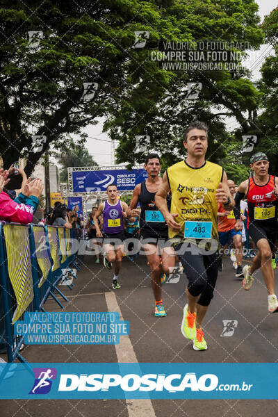 Circuito SESC de Corrida de Rua 2024 - Apucarana 