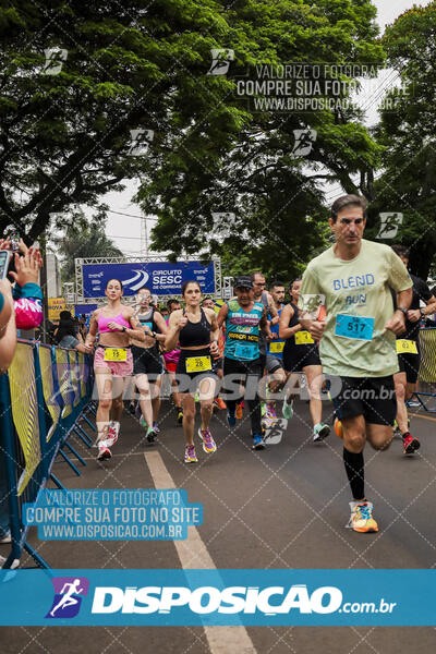 Circuito SESC de Corrida de Rua 2024 - Apucarana 