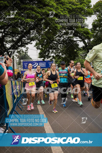 Circuito SESC de Corrida de Rua 2024 - Apucarana 