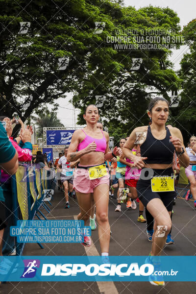 Circuito SESC de Corrida de Rua 2024 - Apucarana 