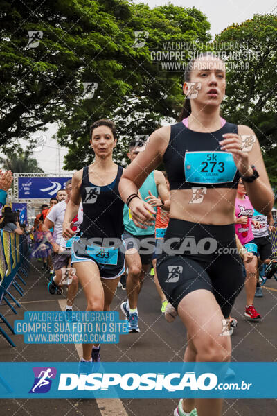 Circuito SESC de Corrida de Rua 2024 - Apucarana 