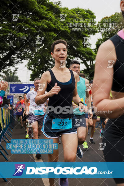 Circuito SESC de Corrida de Rua 2024 - Apucarana 