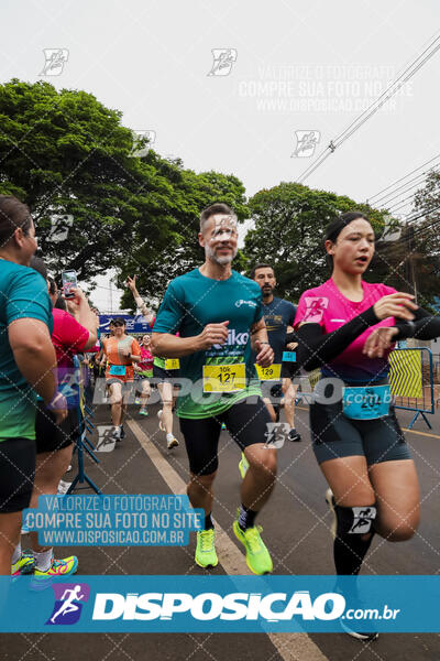 Circuito SESC de Corrida de Rua 2024 - Apucarana 