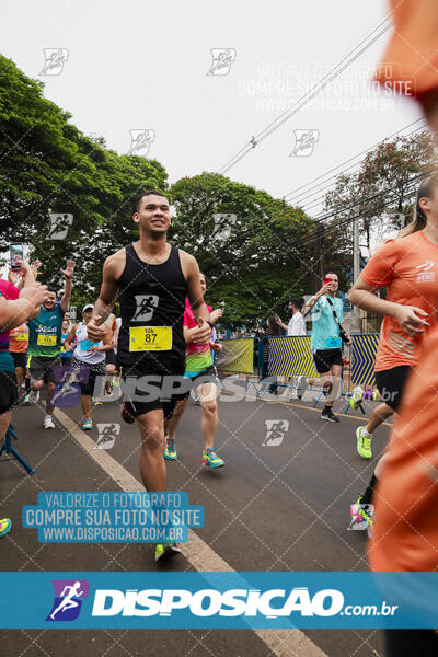 Circuito SESC de Corrida de Rua 2024 - Apucarana 