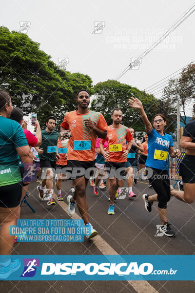 Circuito SESC de Corrida de Rua 2024 - Apucarana 