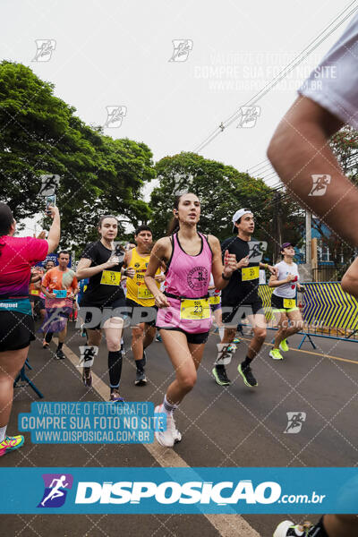 Circuito SESC de Corrida de Rua 2024 - Apucarana 