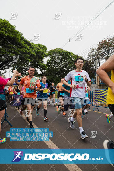 Circuito SESC de Corrida de Rua 2024 - Apucarana 