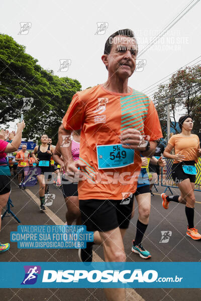 Circuito SESC de Corrida de Rua 2024 - Apucarana 