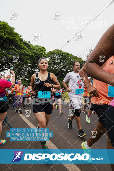 Circuito SESC de Corrida de Rua 2024 - Apucarana 