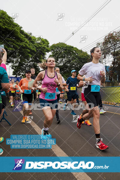 Circuito SESC de Corrida de Rua 2024 - Apucarana 