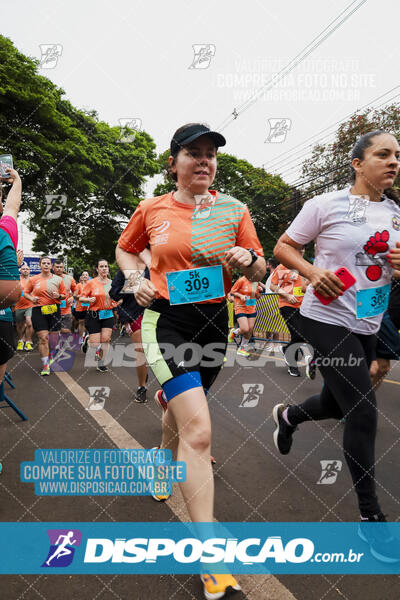 Circuito SESC de Corrida de Rua 2024 - Apucarana 