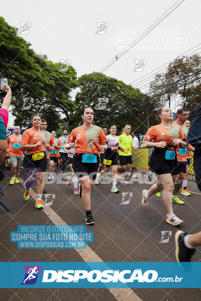 Circuito SESC de Corrida de Rua 2024 - Apucarana 