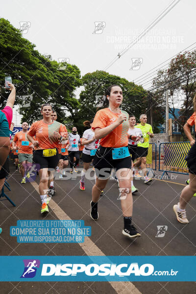 Circuito SESC de Corrida de Rua 2024 - Apucarana 