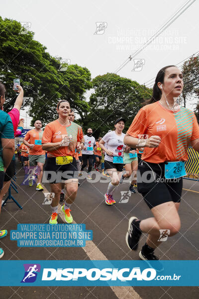 Circuito SESC de Corrida de Rua 2024 - Apucarana 