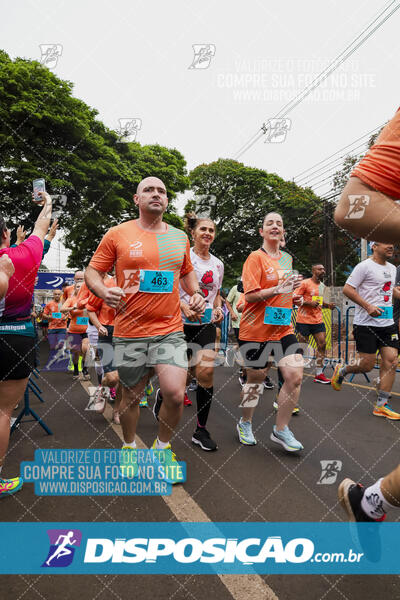 Circuito SESC de Corrida de Rua 2024 - Apucarana 