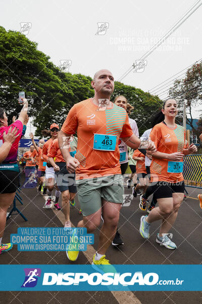 Circuito SESC de Corrida de Rua 2024 - Apucarana 