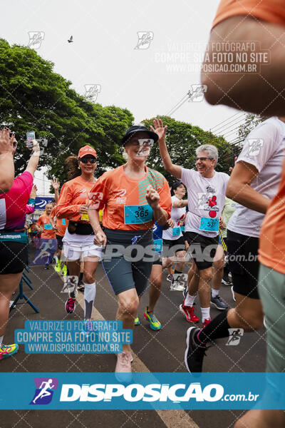 Circuito SESC de Corrida de Rua 2024 - Apucarana 