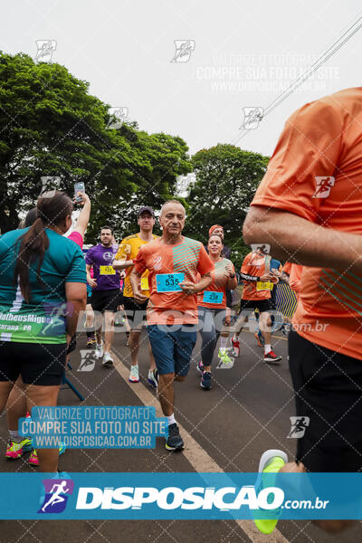 Circuito SESC de Corrida de Rua 2024 - Apucarana 