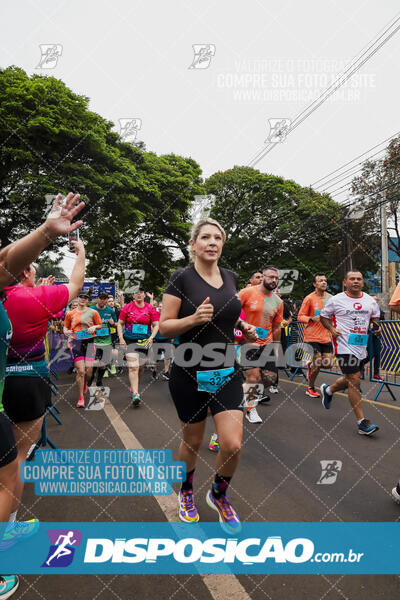 Circuito SESC de Corrida de Rua 2024 - Apucarana 