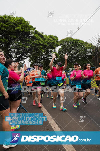 Circuito SESC de Corrida de Rua 2024 - Apucarana 