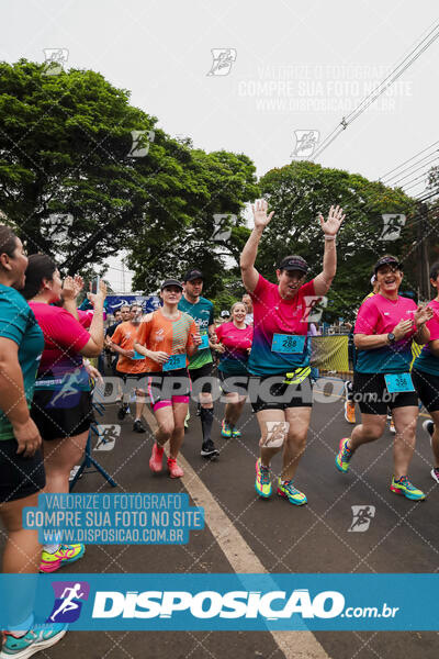 Circuito SESC de Corrida de Rua 2024 - Apucarana 