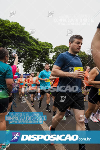 Circuito SESC de Corrida de Rua 2024 - Apucarana 