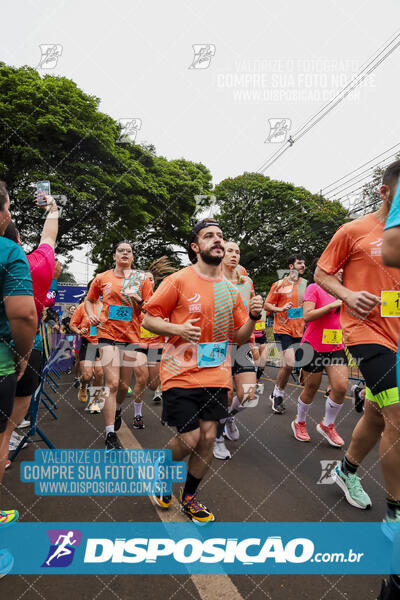 Circuito SESC de Corrida de Rua 2024 - Apucarana 