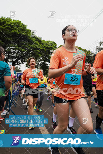 Circuito SESC de Corrida de Rua 2024 - Apucarana 