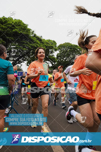 Circuito SESC de Corrida de Rua 2024 - Apucarana 