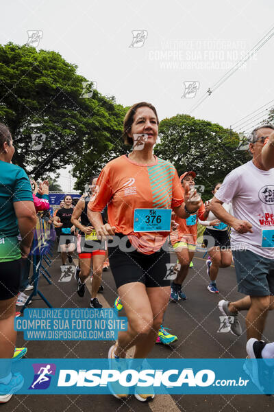 Circuito SESC de Corrida de Rua 2024 - Apucarana 