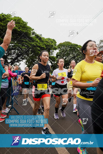 Circuito SESC de Corrida de Rua 2024 - Apucarana 